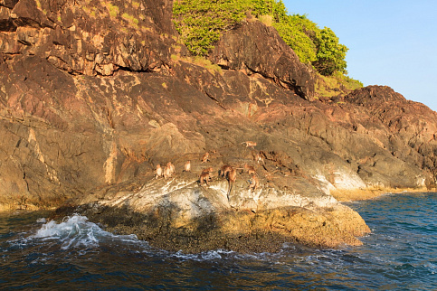 Загрузка ...