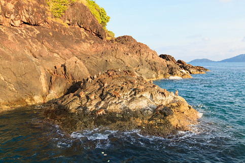 Загрузка ...