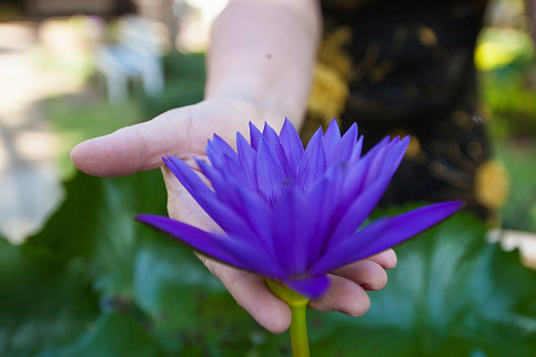 Загрузка ...