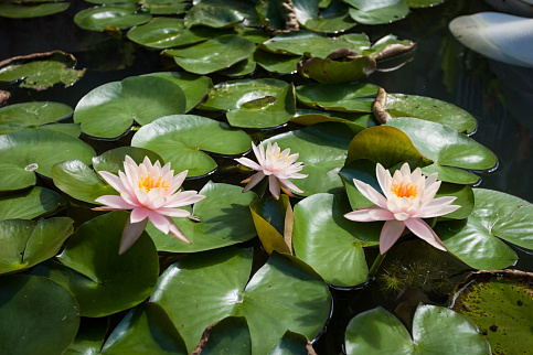 Загрузка ...