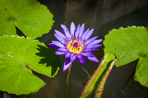 Загрузка ...