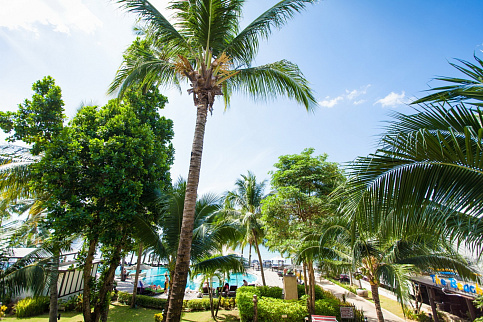 Загрузка ...