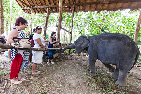 Загрузка ...