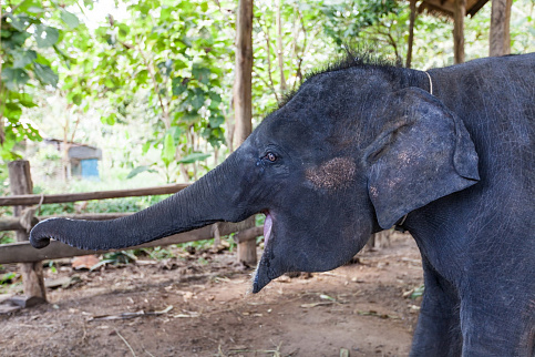 Загрузка ...