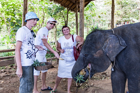 Загрузка ...