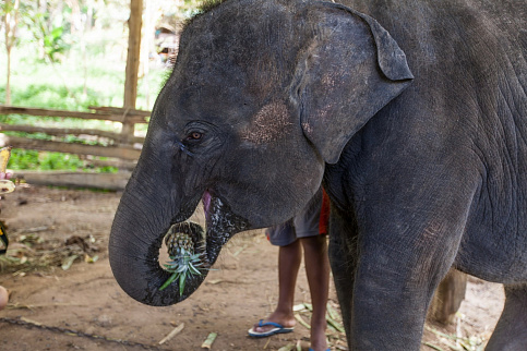 Загрузка ...