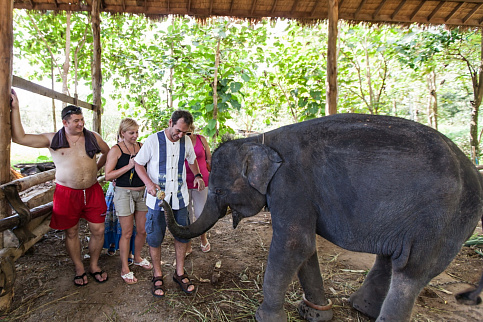 Загрузка ...