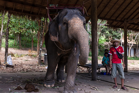 Загрузка ...