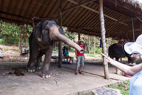 Загрузка ...