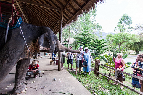 Загрузка ...