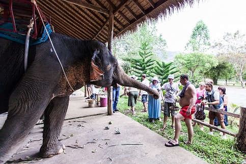 Загрузка ...