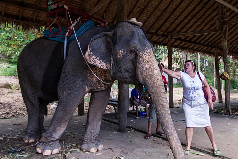 Загрузка ...