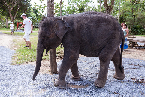 Загрузка ...