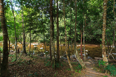 Загрузка ...