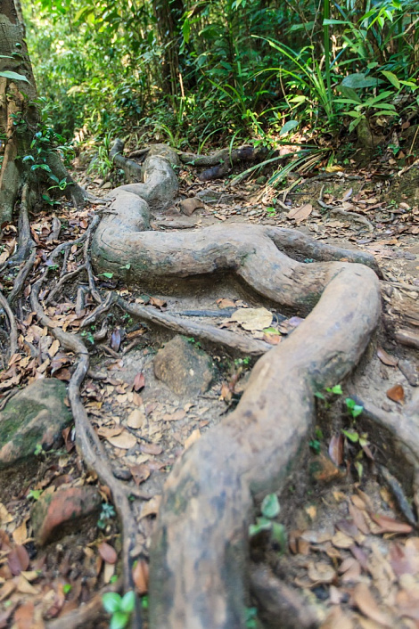 Загрузка ...