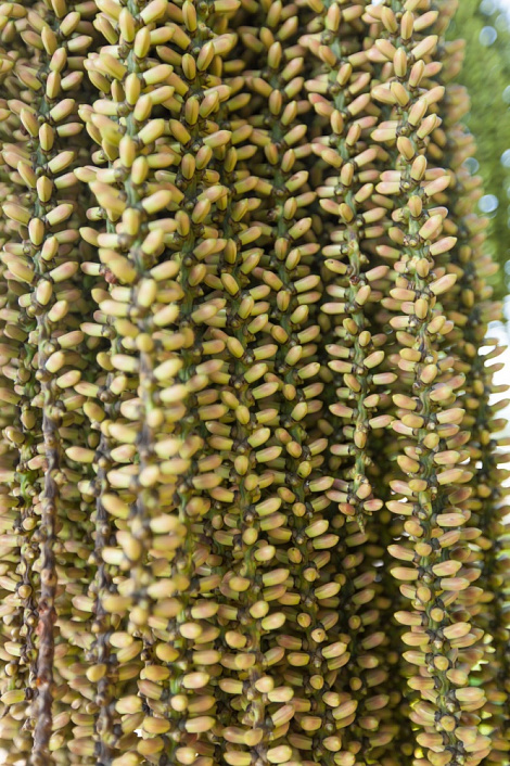 Загрузка ...