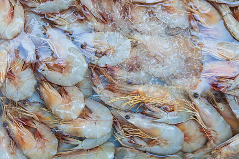 Загрузка ...