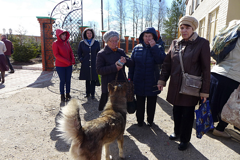 Загрузка ...