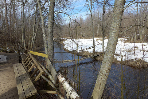 Загрузка ...