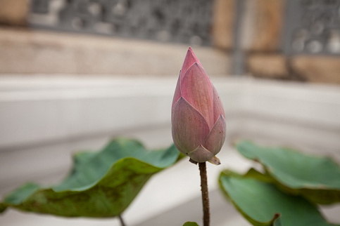 Загрузка ...