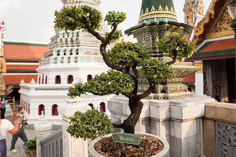 Загрузка ...