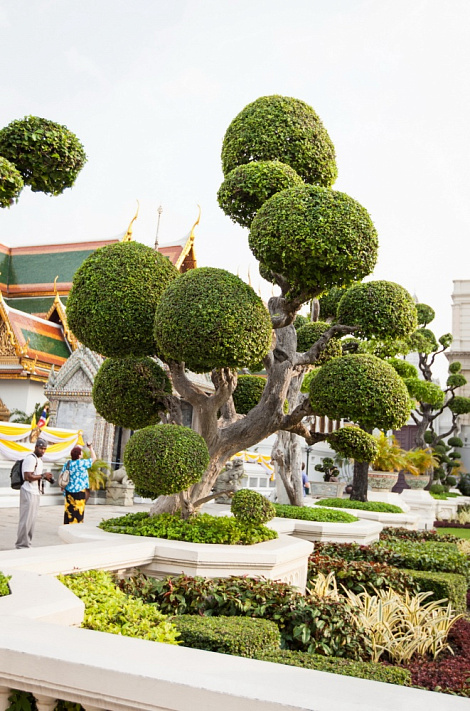 Загрузка ...