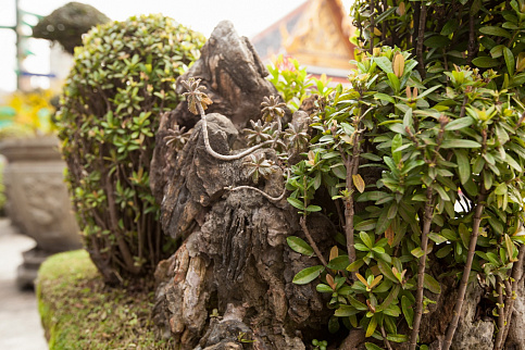 Загрузка ...