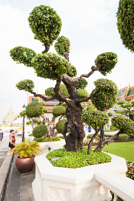 Загрузка ...