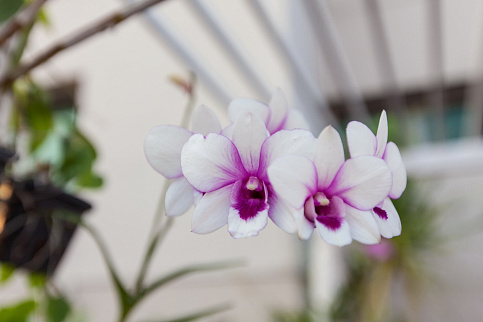 Загрузка ...