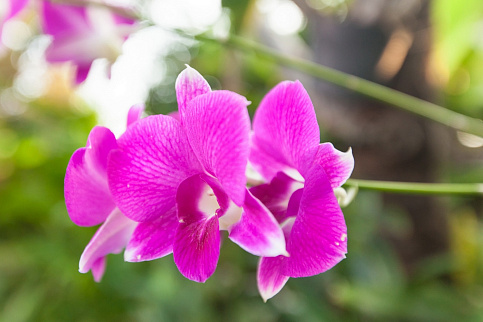 Загрузка ...