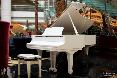 Загрузка ...