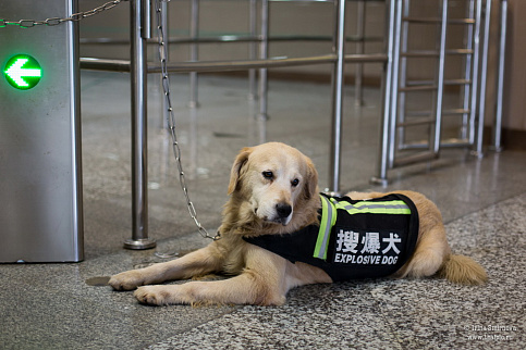 Загрузка ...