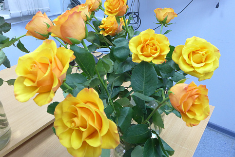 Загрузка ...