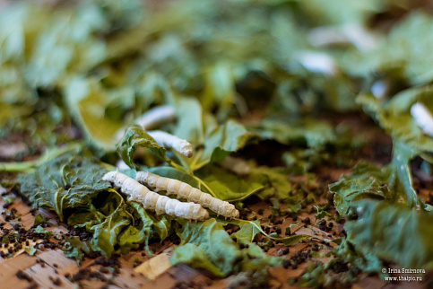 Загрузка ...