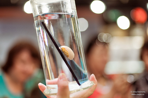 Загрузка ...