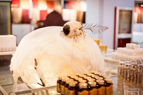 Загрузка ...