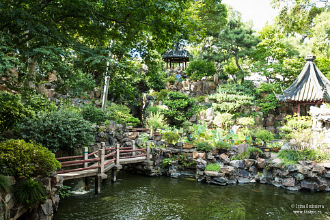 Загрузка ...