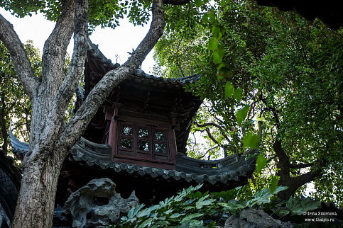 Загрузка ...