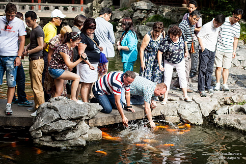 Загрузка ...