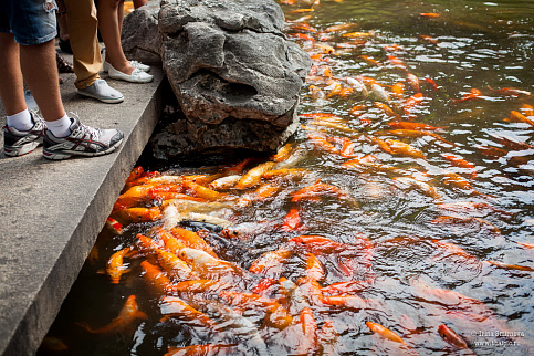 Загрузка ...