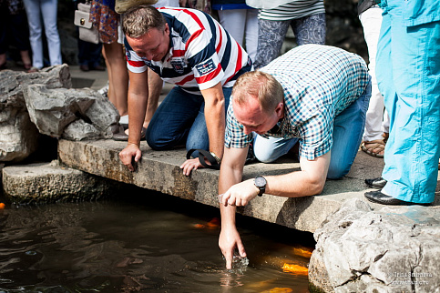 Загрузка ...