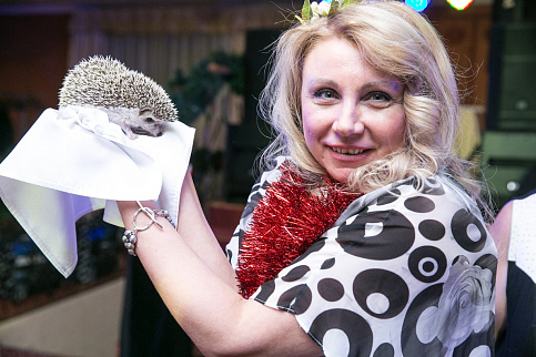 Загрузка ...