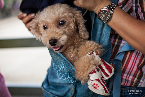 Загрузка ...