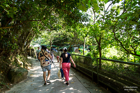 Загрузка ...