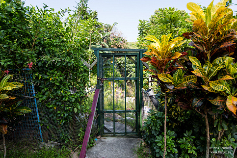 Загрузка ...