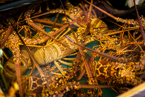 Загрузка ...