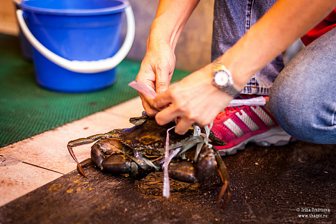 Загрузка ...