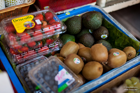 Загрузка ...