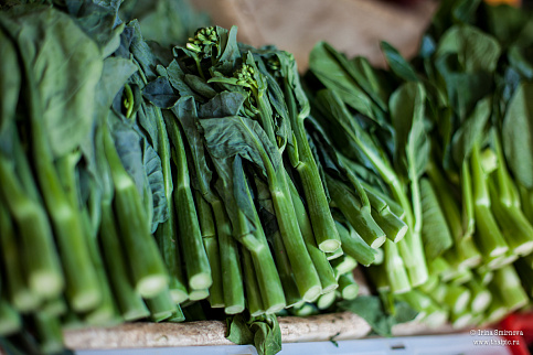 Загрузка ...