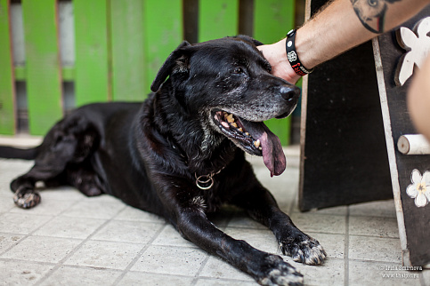 Загрузка ...